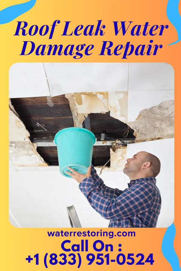 Roof Leak Water Damage Repair in Paloma Creek South, TX